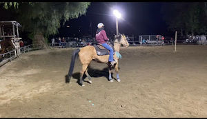 Meet your Posher, Annie